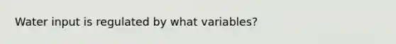 Water input is regulated by what variables?