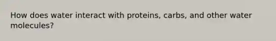 How does water interact with proteins, carbs, and other water molecules?