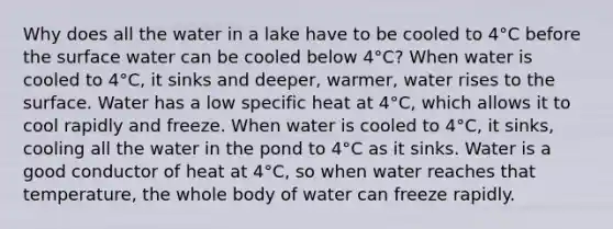 Why does all the water in a lake have to be cooled to 4°C before the surface water can be cooled below 4°C? When water is cooled to 4°C, it sinks and deeper, warmer, water rises to the surface. Water has a low specific heat at 4°C, which allows it to cool rapidly and freeze. When water is cooled to 4°C, it sinks, cooling all the water in the pond to 4°C as it sinks. Water is a good conductor of heat at 4°C, so when water reaches that temperature, the whole body of water can freeze rapidly.