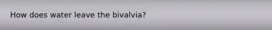 How does water leave the bivalvia?