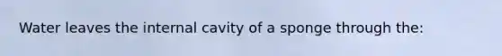 Water leaves the internal cavity of a sponge through the: