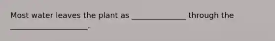 Most water leaves the plant as ______________ through the ____________________.
