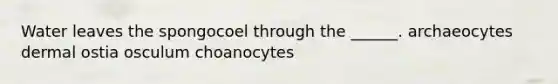 Water leaves the spongocoel through the ______. archaeocytes dermal ostia osculum choanocytes