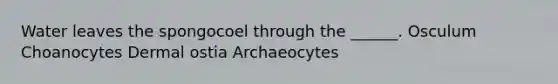 Water leaves the spongocoel through the ______. Osculum Choanocytes Dermal ostia Archaeocytes