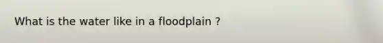 What is the water like in a floodplain ?