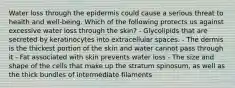 Water loss through the epidermis could cause a serious threat to health and well-being. Which of the following protects us against excessive water loss through the skin? - Glycolipids that are secreted by keratinocytes into extracellular spaces. - The dermis is the thickest portion of the skin and water cannot pass through it - Fat associated with skin prevents water loss - The size and shape of the cells that make up the stratum spinosum, as well as the thick bundles of intermediate filaments