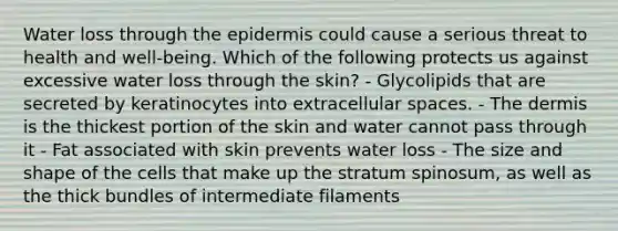 Water loss through <a href='https://www.questionai.com/knowledge/kBFgQMpq6s-the-epidermis' class='anchor-knowledge'>the epidermis</a> could cause a serious threat to health and well-being. Which of the following protects us against excessive water loss through the skin? - Glycolipids that are secreted by keratinocytes into extracellular spaces. - <a href='https://www.questionai.com/knowledge/kEsXbG6AwS-the-dermis' class='anchor-knowledge'>the dermis</a> is the thickest portion of the skin and water cannot pass through it - Fat associated with skin prevents water loss - The size and shape of the cells that make up the stratum spinosum, as well as the thick bundles of intermediate filaments