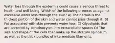 Water loss through the epidermis could cause a serious threat to health and well-being. Which of the following protects us against excessive water loss through the skin? A) The dermis is the thickest portion of the skin and water cannot pass through it. B) Fat associated with skin prevents water loss. C) Glycolipids that are secreted by keratinocytes into extracellular spaces D) The size and shape of the cells that make up the stratum spinosum, as well as the thick bundles of intermediate filaments.