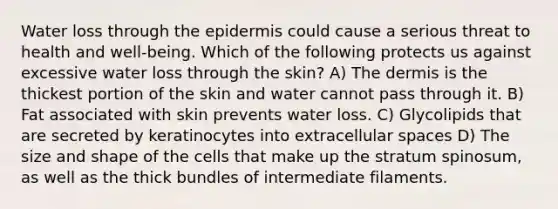 Water loss through <a href='https://www.questionai.com/knowledge/kBFgQMpq6s-the-epidermis' class='anchor-knowledge'>the epidermis</a> could cause a serious threat to health and well-being. Which of the following protects us against excessive water loss through the skin? A) <a href='https://www.questionai.com/knowledge/kEsXbG6AwS-the-dermis' class='anchor-knowledge'>the dermis</a> is the thickest portion of the skin and water cannot pass through it. B) Fat associated with skin prevents water loss. C) Glycolipids that are secreted by keratinocytes into extracellular spaces D) The size and shape of the cells that make up the stratum spinosum, as well as the thick bundles of intermediate filaments.