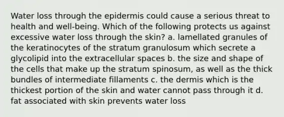 Water loss through <a href='https://www.questionai.com/knowledge/kBFgQMpq6s-the-epidermis' class='anchor-knowledge'>the epidermis</a> could cause a serious threat to health and well-being. Which of the following protects us against excessive water loss through the skin? a. lamellated granules of the keratinocytes of the stratum granulosum which secrete a glycolipid into the extracellular spaces b. the size and shape of the cells that make up the stratum spinosum, as well as the thick bundles of intermediate fillaments c. <a href='https://www.questionai.com/knowledge/kEsXbG6AwS-the-dermis' class='anchor-knowledge'>the dermis</a> which is the thickest portion of the skin and water cannot pass through it d. fat associated with skin prevents water loss