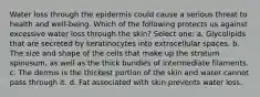 Water loss through the epidermis could cause a serious threat to health and well-being. Which of the following protects us against excessive water loss through the skin? Select one: a. Glycolipids that are secreted by keratinocytes into extracellular spaces. b. The size and shape of the cells that make up the stratum spinosum, as well as the thick bundles of intermediate filaments. c. The dermis is the thickest portion of the skin and water cannot pass through it. d. Fat associated with skin prevents water loss.