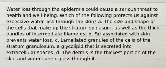 Water loss through <a href='https://www.questionai.com/knowledge/kBFgQMpq6s-the-epidermis' class='anchor-knowledge'>the epidermis</a> could cause a serious threat to health and well-being. Which of the following protects us against excessive water loss through the skin? a. The size and shape of the cells that make up the stratum spinosum, as well as the thick bundles of intermediate filaments. b. Fat associated with skin prevents water loss. c. Lamellated granules of the cells of the stratum granulosum, a glycolipid that is secreted into extracellular spaces. d. <a href='https://www.questionai.com/knowledge/kEsXbG6AwS-the-dermis' class='anchor-knowledge'>the dermis</a> is the thickest portion of the skin and water cannot pass through it.