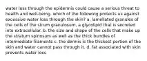 water loss through the epidermis could cause a serious threat to health and well-being. which of the following protects us against excessive water loss through the skin? a. lamellated granules of the cells of the strum granulosum, a glycolipid that is secreted into extracellular. b. the size and shape of the cells that make up the stratum spinosum as well as the thick bundles of intermediate filaments c. the dermis is the thickest portion of the skin and water cannot pass through it. d. fat associated with skin prevents water loss