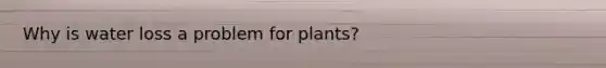 Why is water loss a problem for plants?