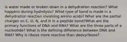 is water made or broken down in a dehydration reaction? What happens during hydrolysis? What type of bond is made in a dehydration reaction involving amino acids? What are the partial charges on C, O, N, and H in a peptide bond?What are the primary functions of DNA and RNA? What are the three parts of a nucleotide? What is the defining difference between DNA and RNA? Why is ribose more reactive than deoxyribose?