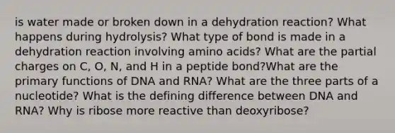 is water made or broken down in a dehydration reaction? What happens during hydrolysis? What type of bond is made in a dehydration reaction involving amino acids? What are the partial charges on C, O, N, and H in a peptide bond?What are the primary functions of DNA and RNA? What are the three parts of a nucleotide? What is the defining difference between DNA and RNA? Why is ribose more reactive than deoxyribose?