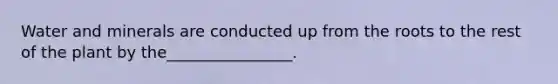 Water and minerals are conducted up from the roots to the rest of the plant by the________________.