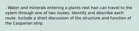 . Water and minerals entering a plants root hair can travel to the xylem through one of two routes. Identify and describe each route. Include a short discussion of the structure and function of the Casparian strip.