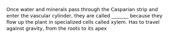 Once water and minerals pass through the Casparian strip and enter the vascular cylinder, they are called _______ because they flow up the plant in specialized cells called xylem. Has to travel against gravity, from the roots to its apex