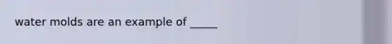 water molds are an example of _____