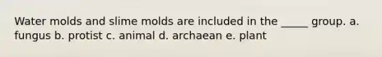Water molds and slime molds are included in the _____ group. a. fungus b. protist c. animal d. archaean e. plant