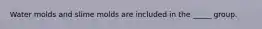 Water molds and slime molds are included in the _____ group.