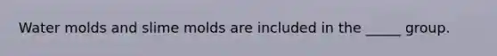 Water molds and slime molds are included in the _____ group.