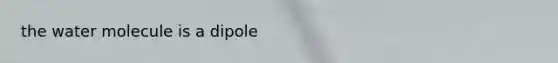 the water molecule is a dipole