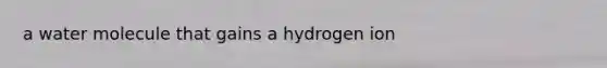 a water molecule that gains a hydrogen ion