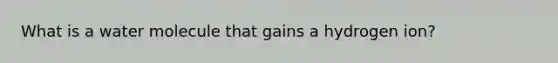 What is a water molecule that gains a hydrogen ion?