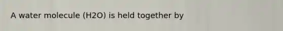 A water molecule (H2O) is held together by