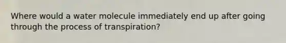 Where would a water molecule immediately end up after going through the process of transpiration?