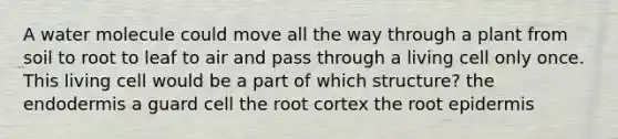 A water molecule could move all the way through a plant from soil to root to leaf to air and pass through a living cell only once. This living cell would be a part of which structure? the endodermis a guard cell the root cortex the root epidermis