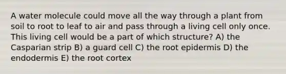 A water molecule could move all the way through a plant from soil to root to leaf to air and pass through a living cell only once. This living cell would be a part of which structure? A) the Casparian strip B) a guard cell C) the root epidermis D) the endodermis E) the root cortex