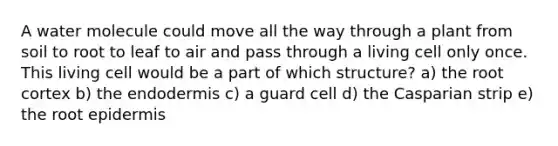 A water molecule could move all the way through a plant from soil to root to leaf to air and pass through a living cell only once. This living cell would be a part of which structure? a) the root cortex b) the endodermis c) a guard cell d) the Casparian strip e) the root epidermis