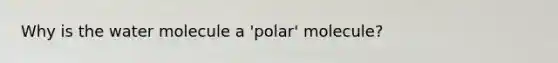 Why is the water molecule a 'polar' molecule?