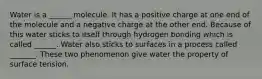 Water is a ______ molecule. It has a positive charge at one end of the molecule and a negative charge at the other end. Because of this water sticks to itself through hydrogen bonding which is called ______. Water also sticks to surfaces in a process called _______. These two phenomenon give water the property of surface tension.