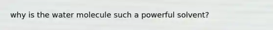 why is the water molecule such a powerful solvent?