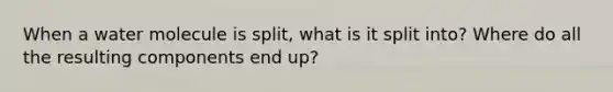 When a water molecule is split, what is it split into? Where do all the resulting components end up?