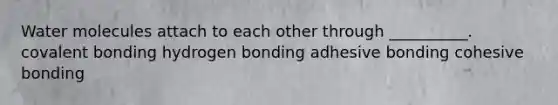 Water molecules attach to each other through __________. covalent bonding hydrogen bonding adhesive bonding cohesive bonding