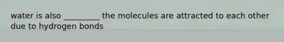 water is also _________ the molecules are attracted to each other due to hydrogen bonds