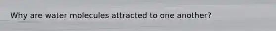 Why are water molecules attracted to one another?