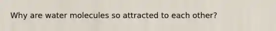Why are water molecules so attracted to each other?