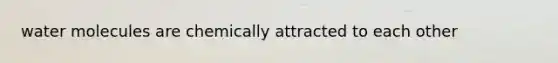 water molecules are chemically attracted to each other