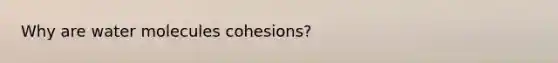 Why are water molecules cohesions?