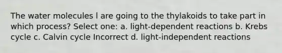 The water molecules l are going to the thylakoids to take part in which process? Select one: a. light-dependent reactions b. Krebs cycle c. Calvin cycle Incorrect d. light-independent reactions