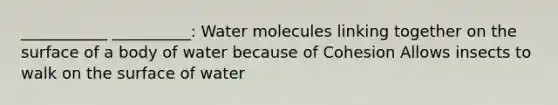 ___________ __________: Water molecules linking together on the surface of a body of water because of Cohesion Allows insects to walk on the surface of water