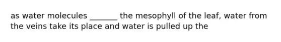 as water molecules _______ the mesophyll of the leaf, water from the veins take its place and water is pulled up the