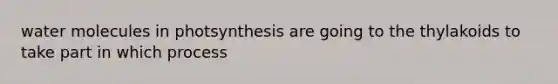 water molecules in photsynthesis are going to the thylakoids to take part in which process