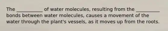 The ___________ of water molecules, resulting from the __________ bonds between water molecules, causes a movement of the water through the plant's vessels, as it moves up from the roots.